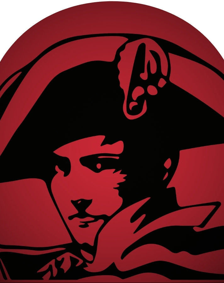 Revolutionary Bonaparte in front of a red wall with famous clothes