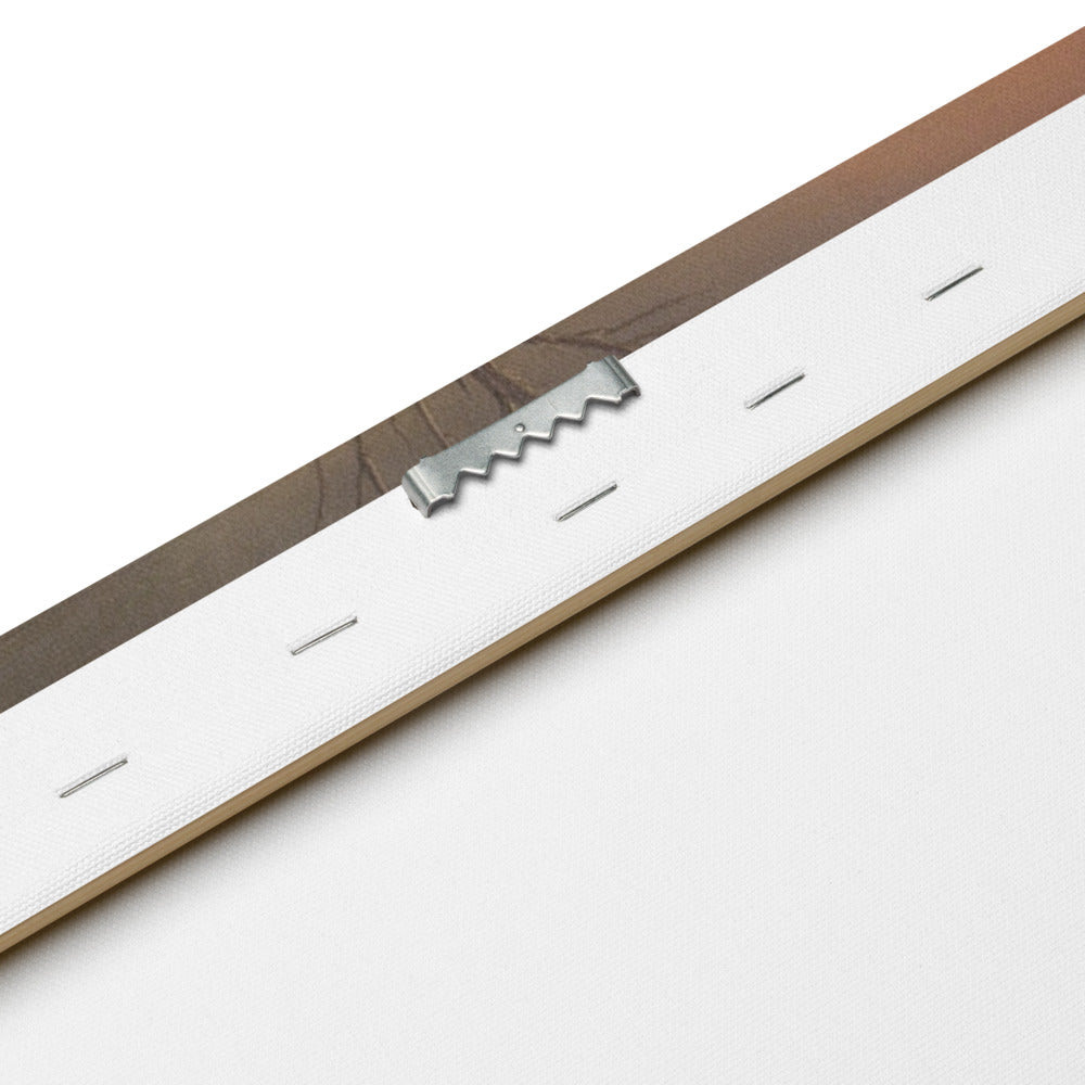 Close-up of a leather strap with a metal buckle on a white background