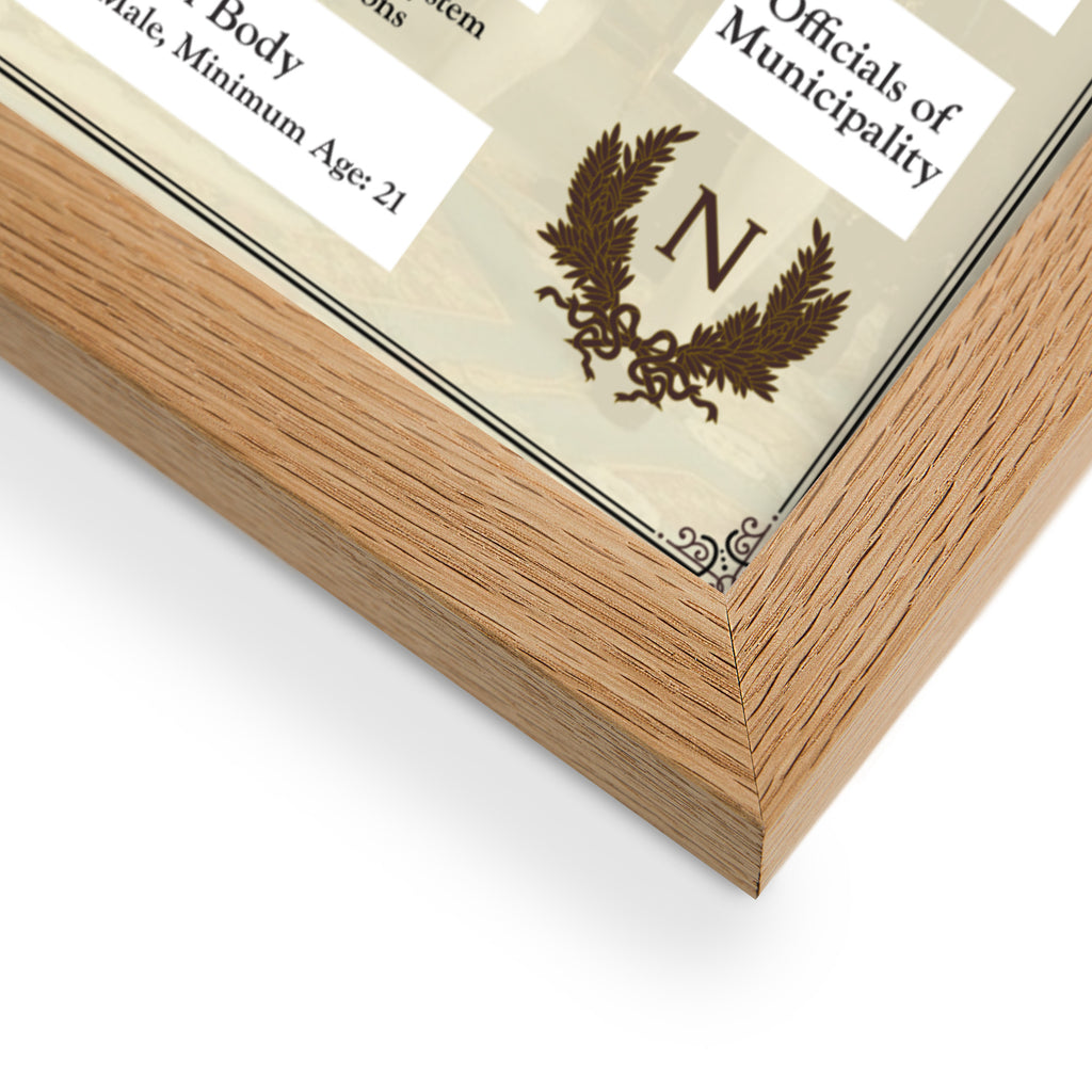 French Constitution of Year VIII (Poster)