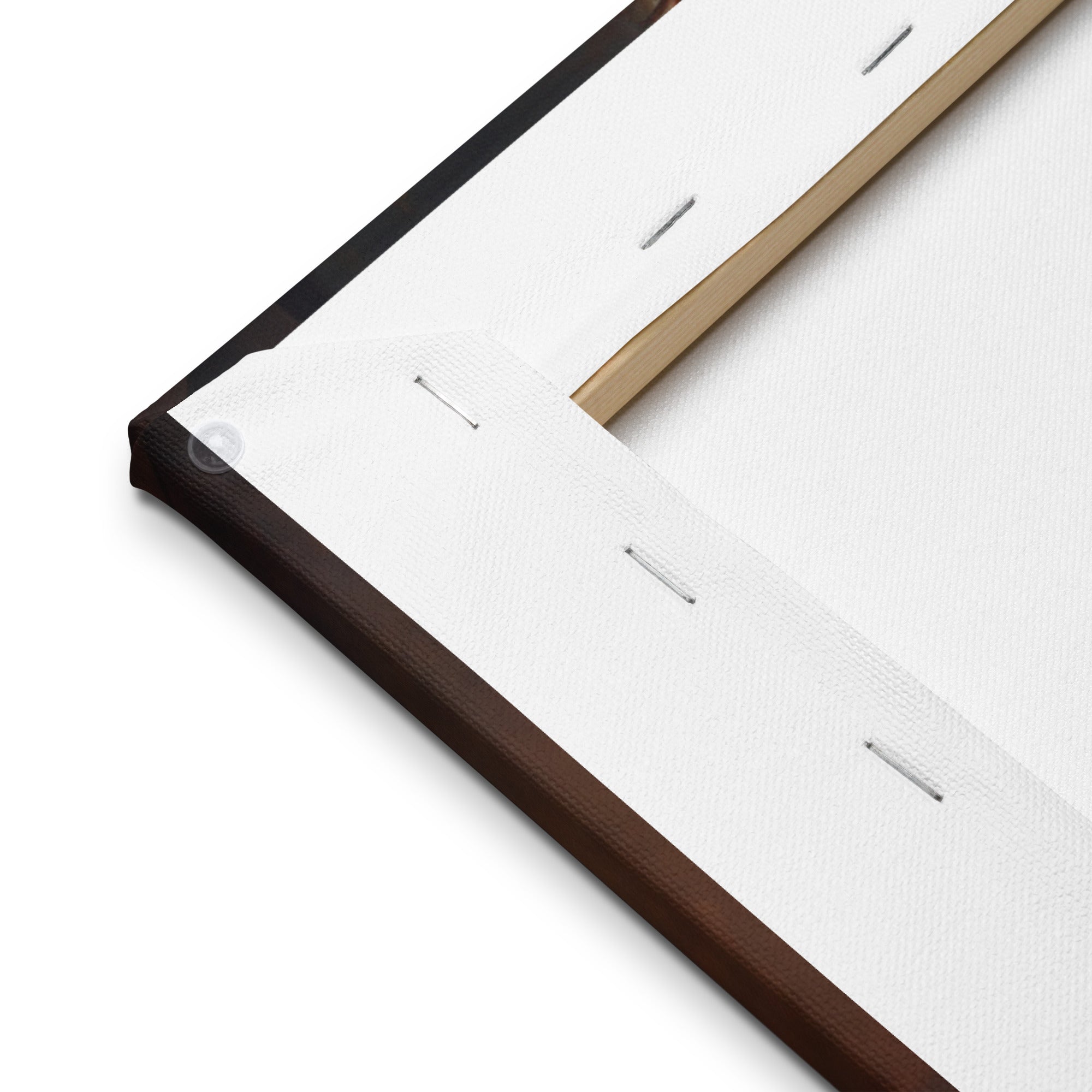 Technical illustration of canvas